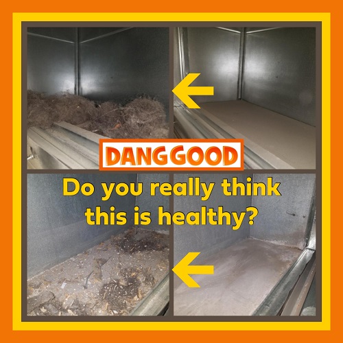 Duct Cleaning and Indoor Air Quality