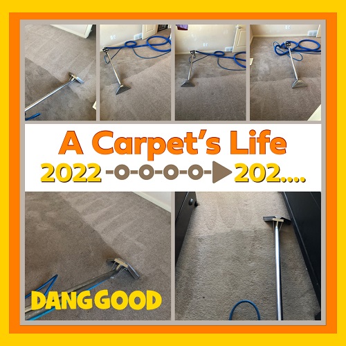 Safe-Dry Carpet Cleaning