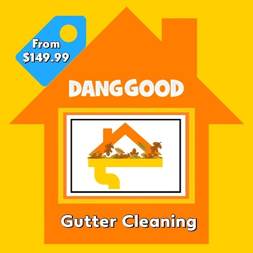 Gutter Cleaning Package