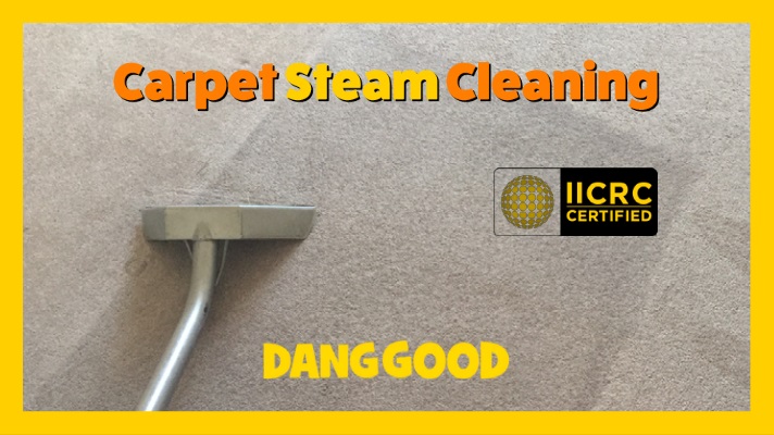 Blog Category Carpet Steam Cleaning