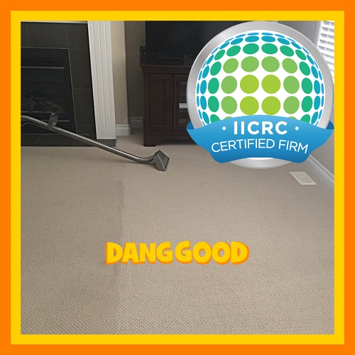 Dang Good Reputation IICRC Certified Carpet Cleaner