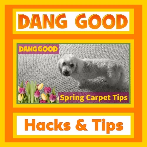 Carpet Cleaning Hacks for Spring