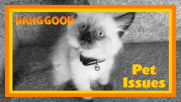 Pet Issue Blog Posts