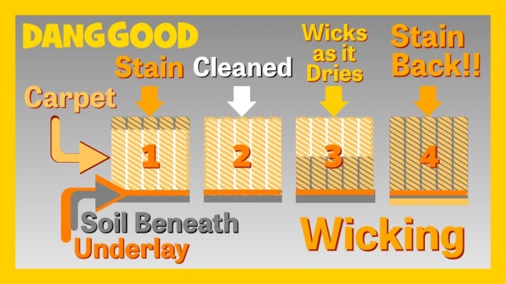 A Diagram explaining Carpet Wicking