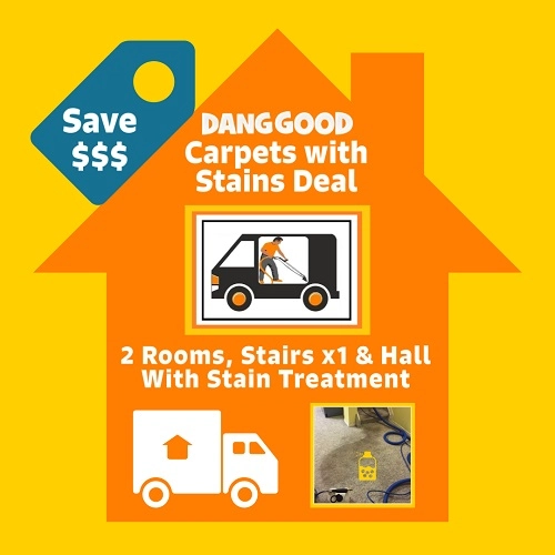 Carpet Cleaning with Stain Treatment Special Deal