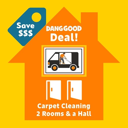 Popular House Carpet Cleaning Deal