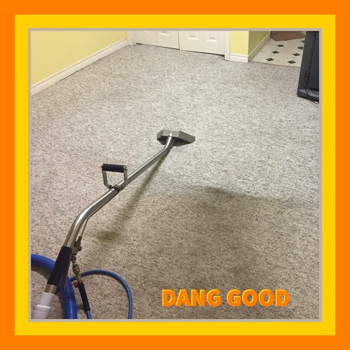 Dang Good Carpet Cleaning Calgary Affordable Steam