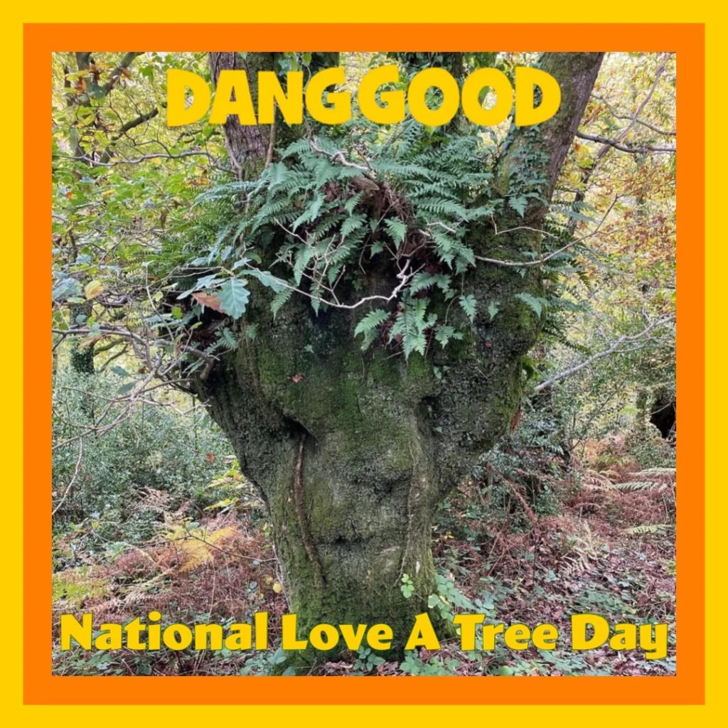Love A Tree Day - Why not Hug a Tree