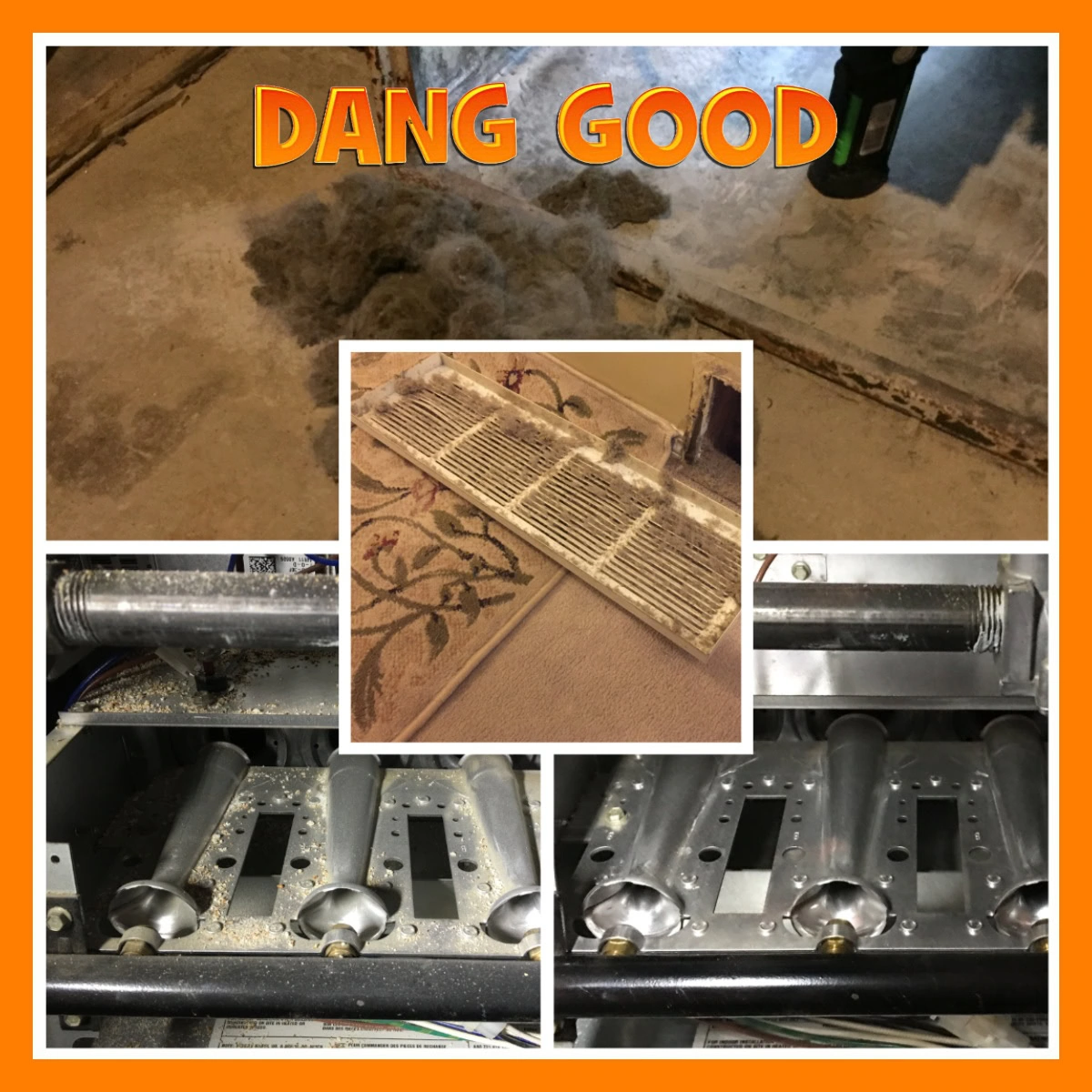 Dog Hair and Furnace Before and After