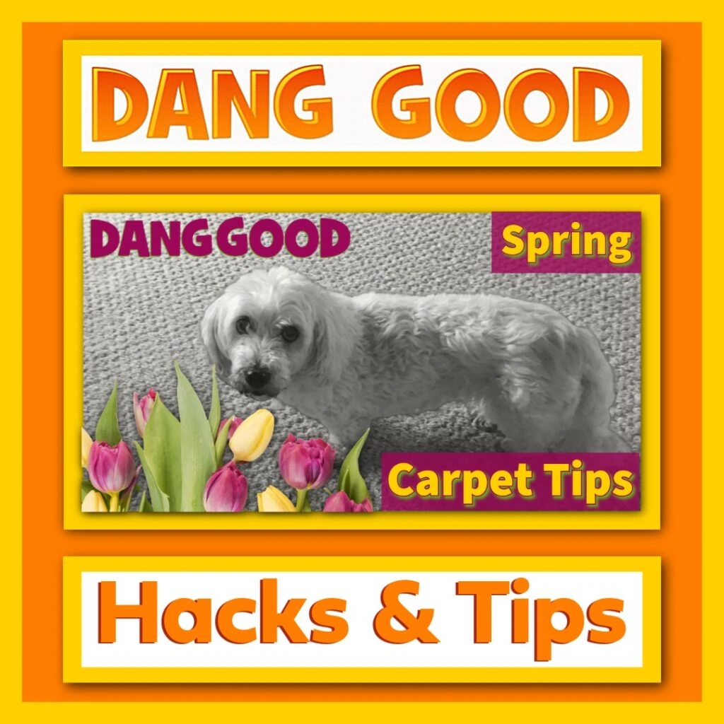 Carpet Cleaning Hacks for Spring