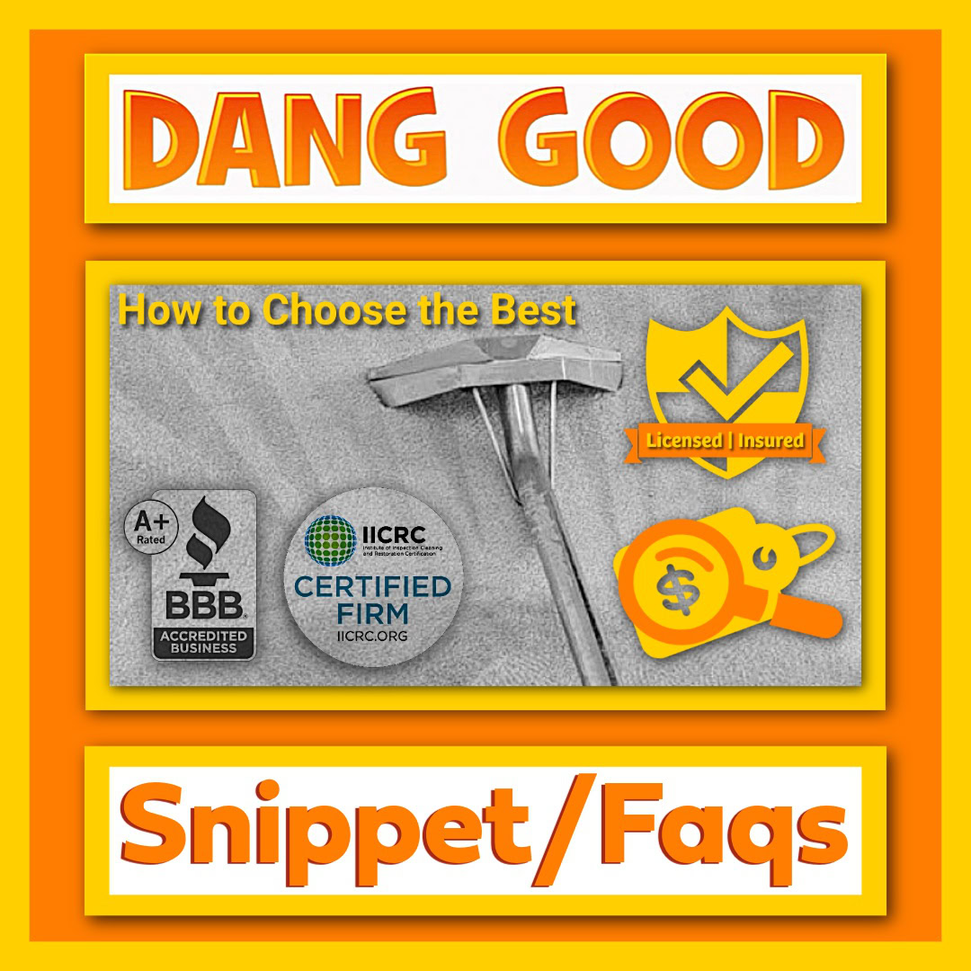 A Blog on Choosing the Best Carpet Cleaning Company