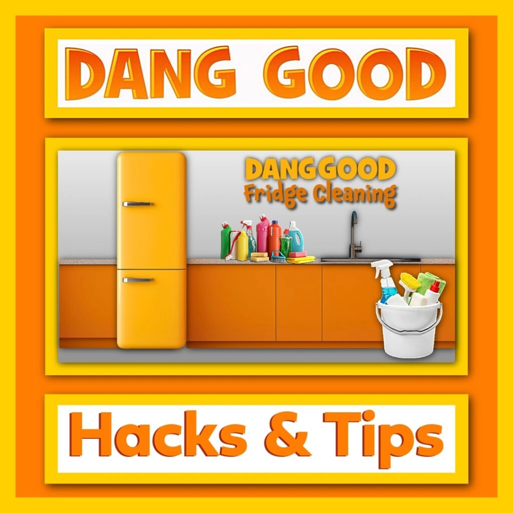 Fridge Cleaning Advice