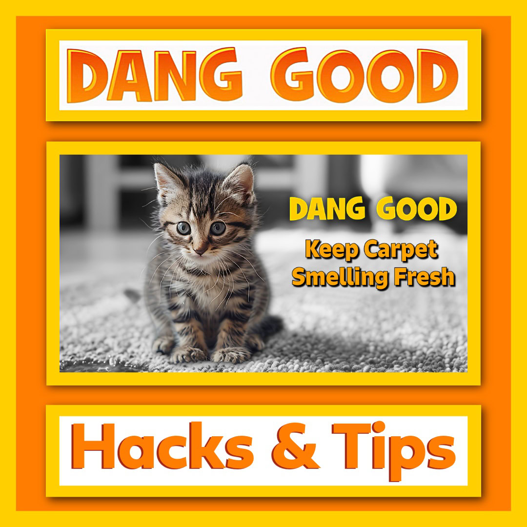 How to Keep your Carpet Smelling Fresh