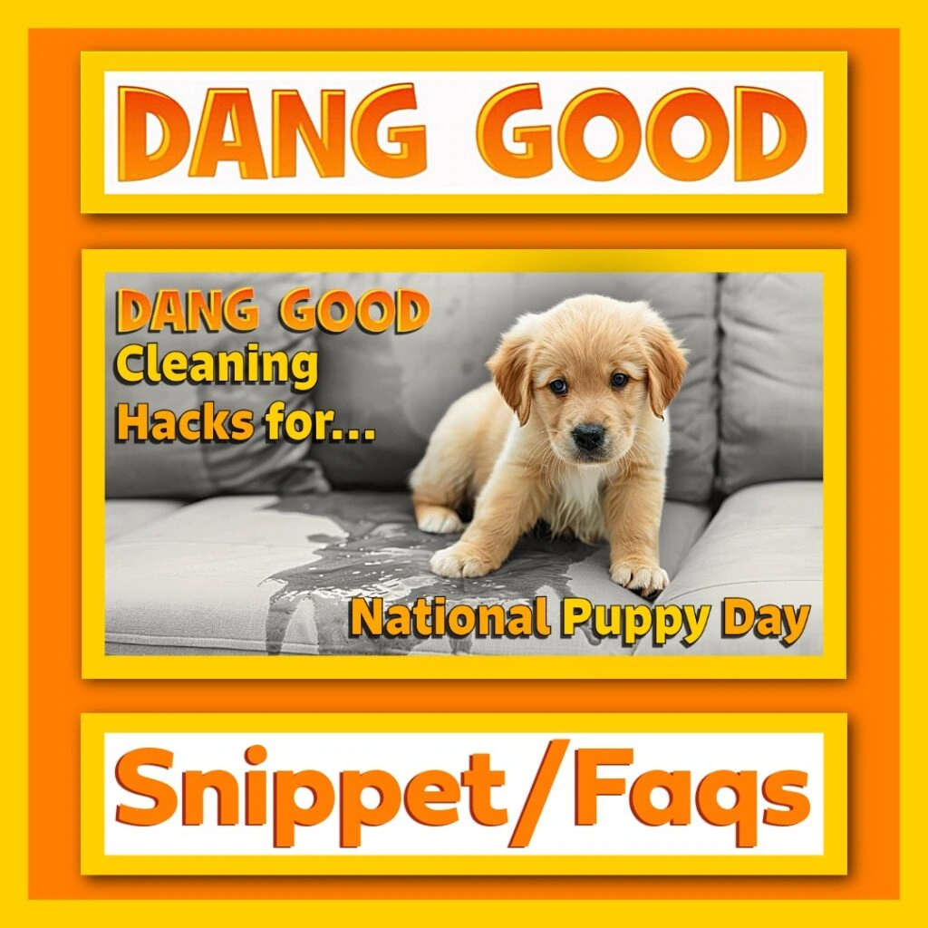 Cleaning on National Puppy Day