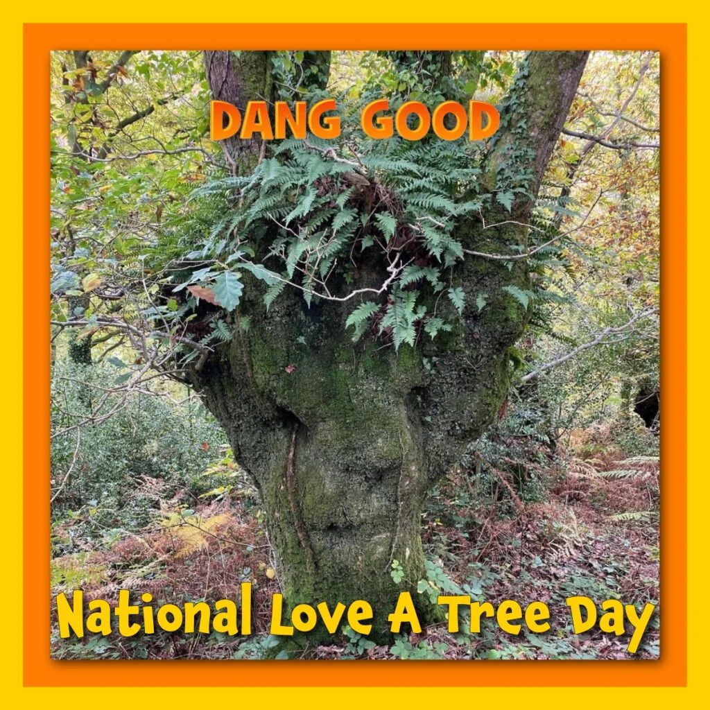 Love A Tree Day - Why not Hug a Tree